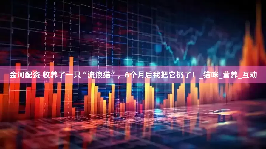 金河配资 收养了一只“流浪猫”，6个月后我把它扔了！_猫咪_营养_互动