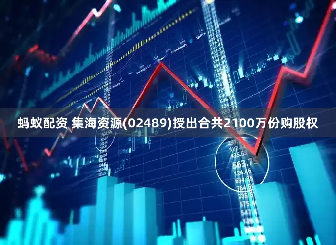 蚂蚁配资 集海资源(02489)授出合共2100万份购股权