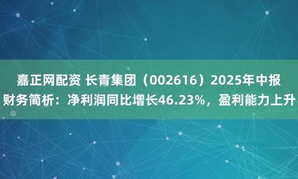嘉正网配资 长青集团（002616）2025年中报财务简析：净利润同比增长46.23%，盈利能力上升